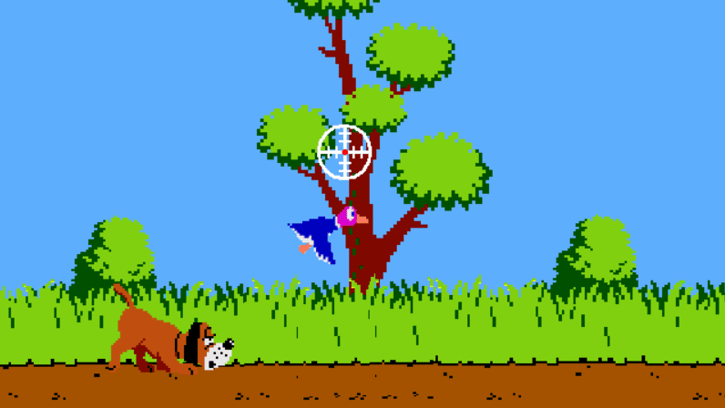 Duck Hunt