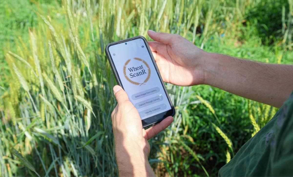 WheatScanR featured by CTV News